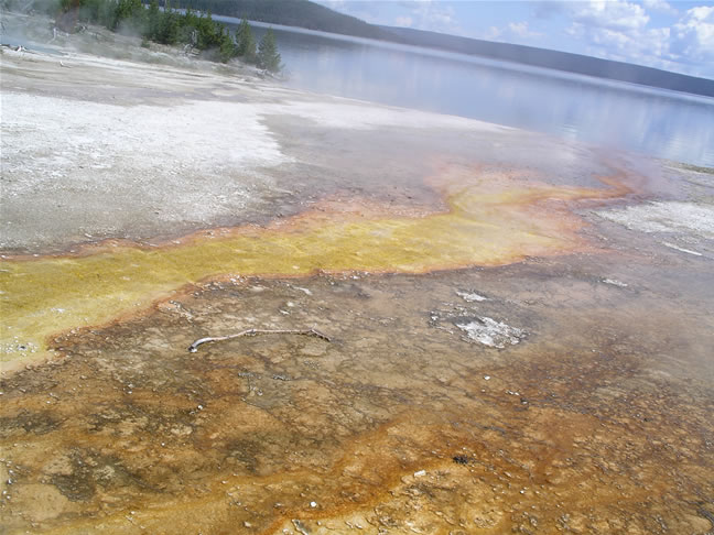 images/F- West Thumb Geyser Basin (24).jpg